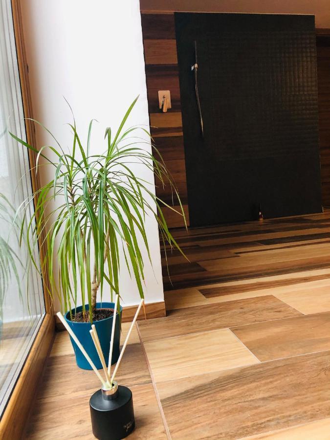 Mala Czantoria Apartamento Ustroń Exterior foto